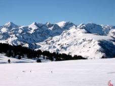 plateau de beille