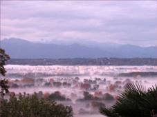 Brume matinale