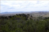 bardenas