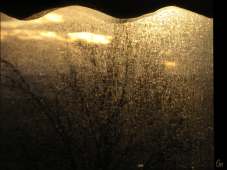 vitre