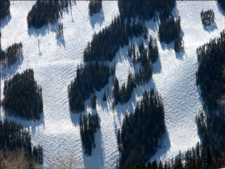Beaver Creek