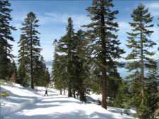 Tahoe