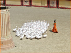 Puy du fou