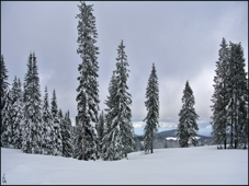 Feldberg