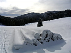 Feldberg