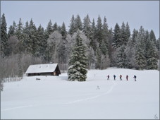 Feldberg