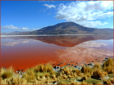 Laguna Colorada