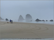 Oregon
                Coast