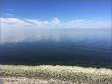 Salton
                Sea