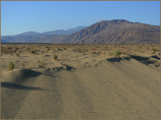 Borrego
                Springs