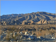 Borrego
                Springs