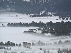 Brouillard