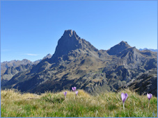 Ossau