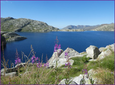 estany
                                        de Mar