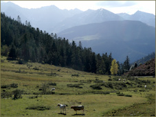 col de
                                                          Beyrede