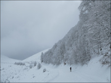 givre