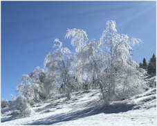 Givre