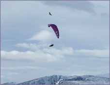 parapente