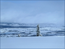 Storefjell