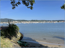 image de la semaine