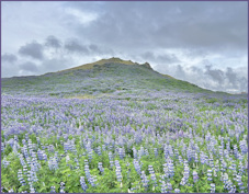 Reykjanesvitavegur