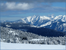 Font
                                                          Romeu