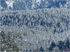 La
                                                          Llagonne