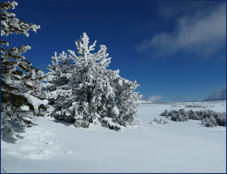 Font
                                                          Romeu