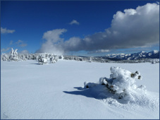 Font
                                                          Romeu