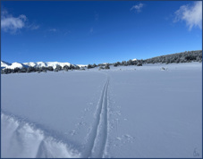 Font
                                                          Romeu