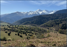 Bigorre