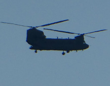 Chinook