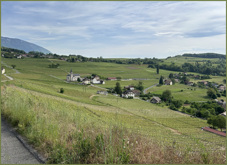 Jongieux