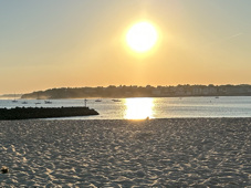 image de la semaine