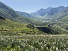 image de la semaine