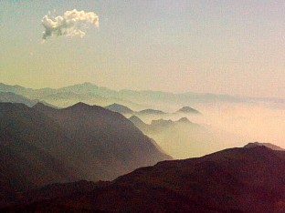 cumulus agonisant